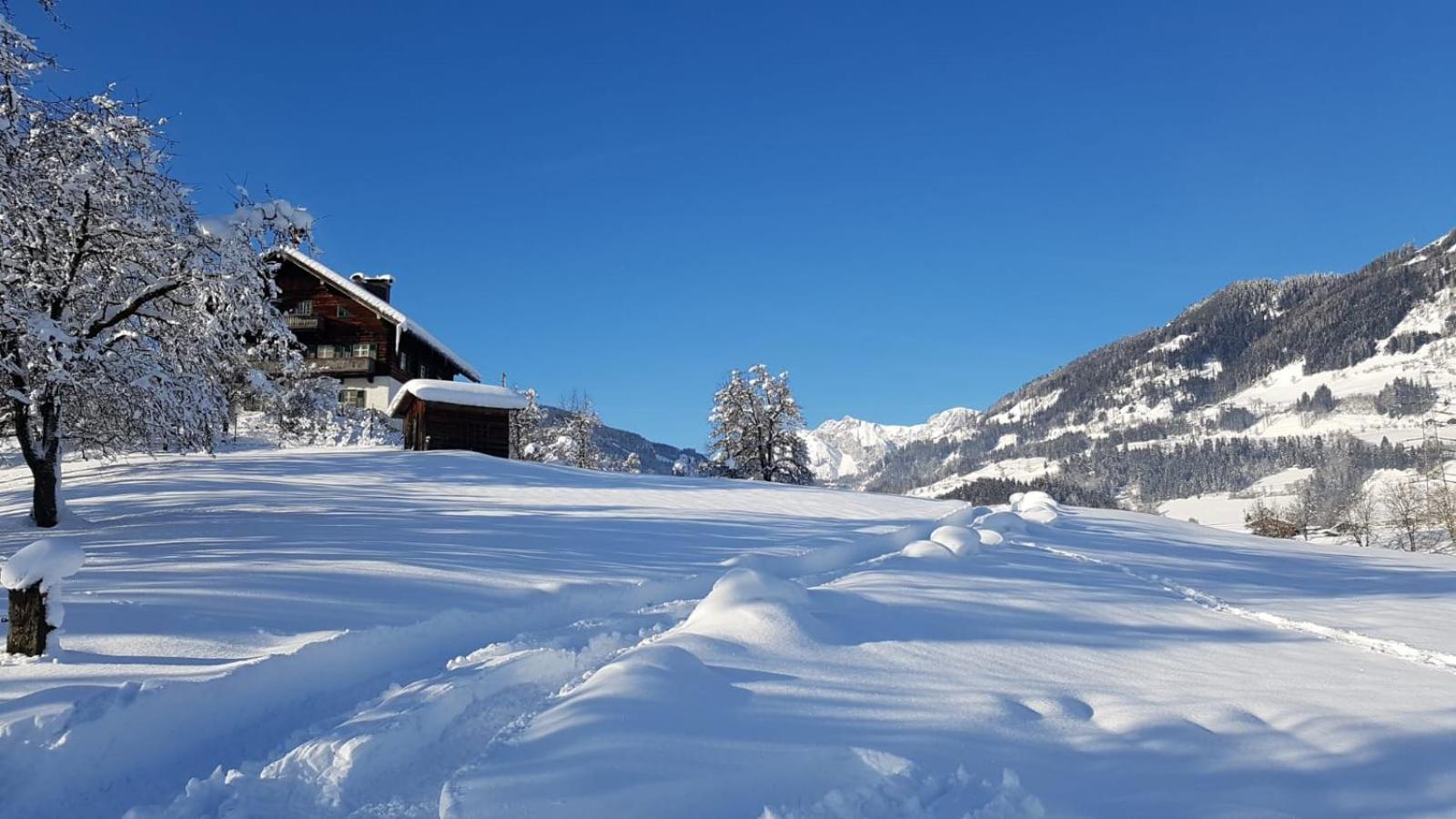 Appartementhaus Goldnugget Schwarzach im Pongau Exteriör bild