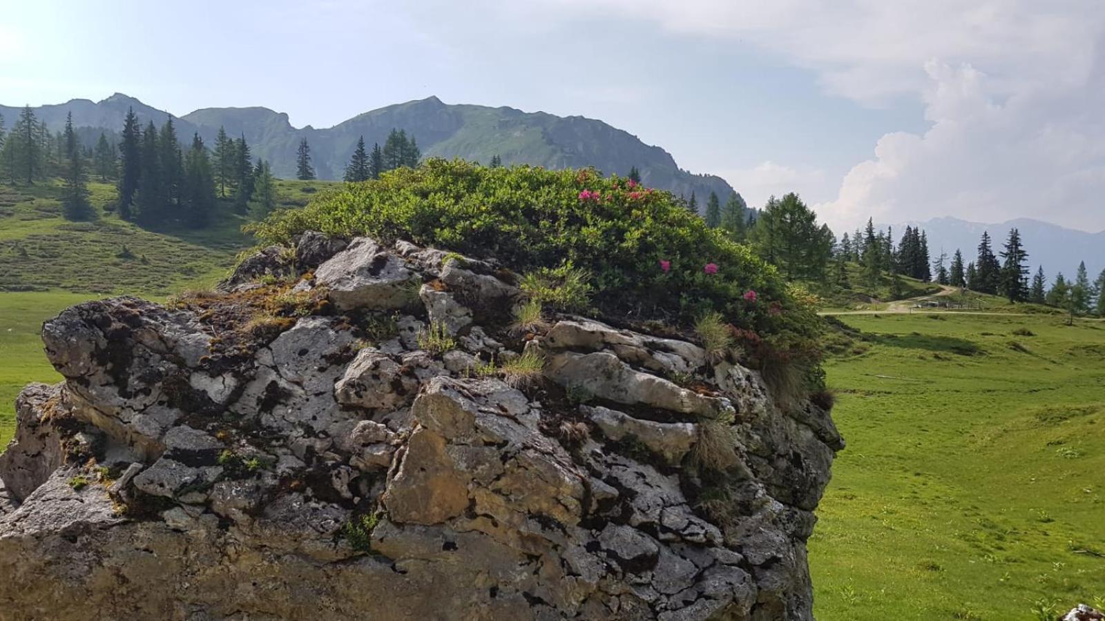 Appartementhaus Goldnugget Schwarzach im Pongau Exteriör bild