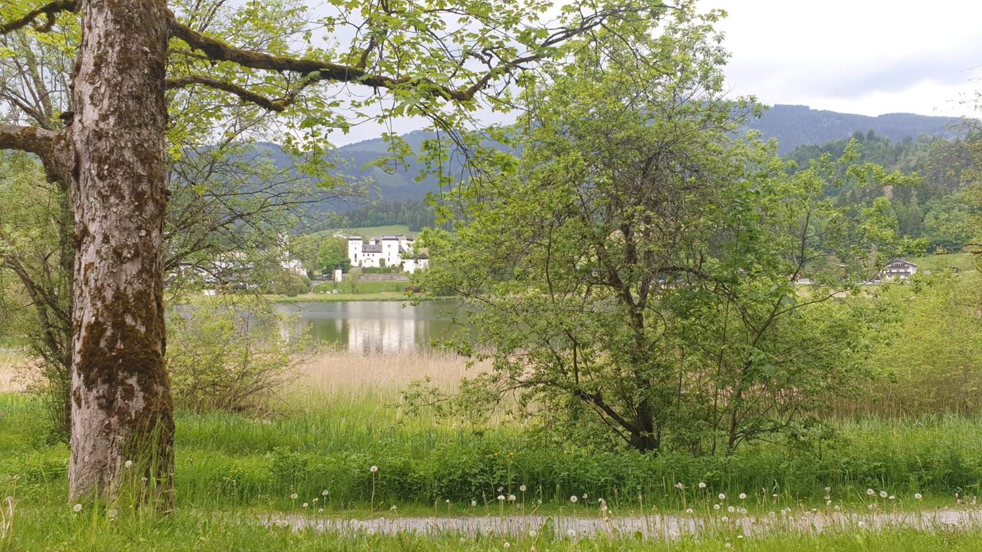 Appartementhaus Goldnugget Schwarzach im Pongau Exteriör bild